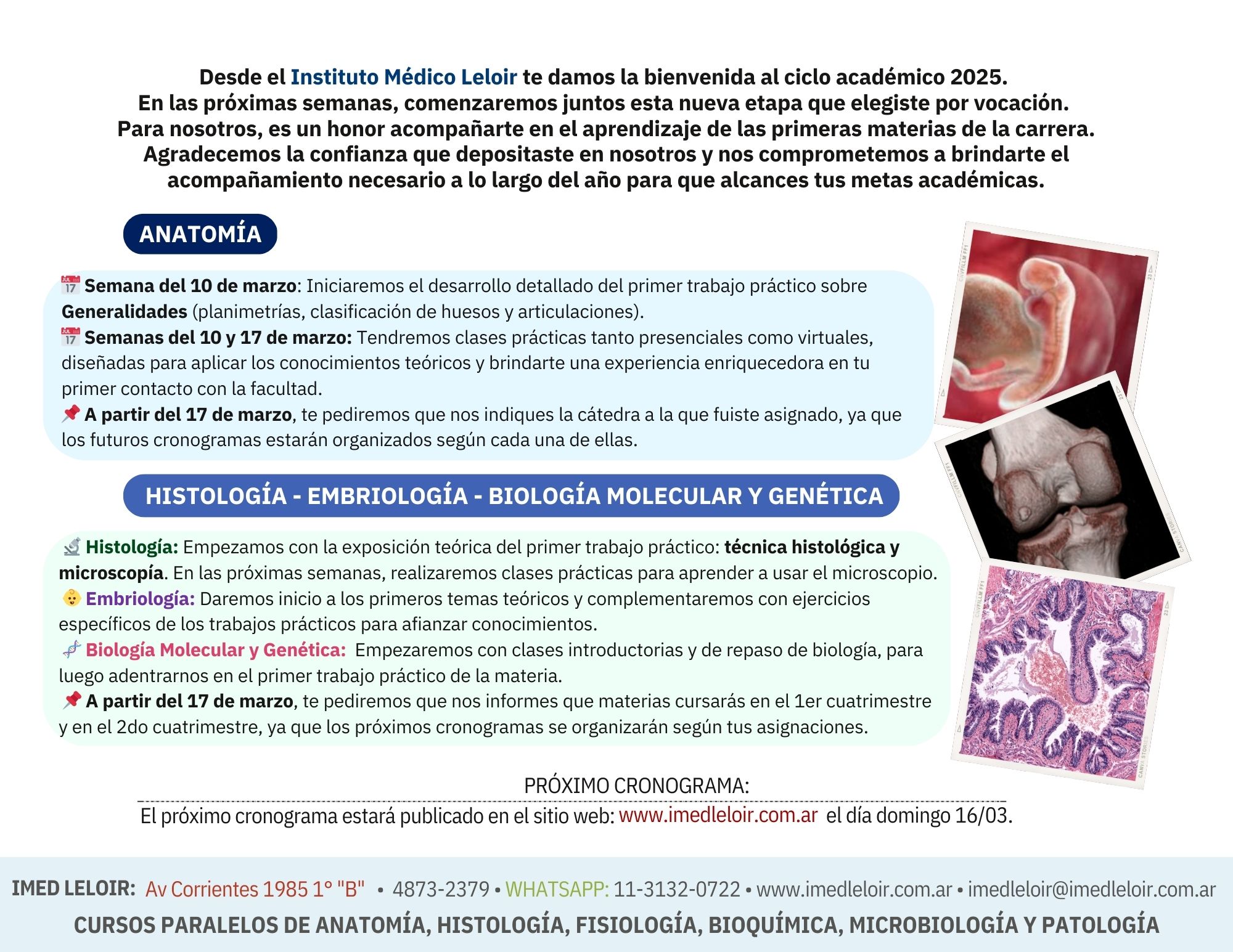 Cronograma 2 - Sin enlace