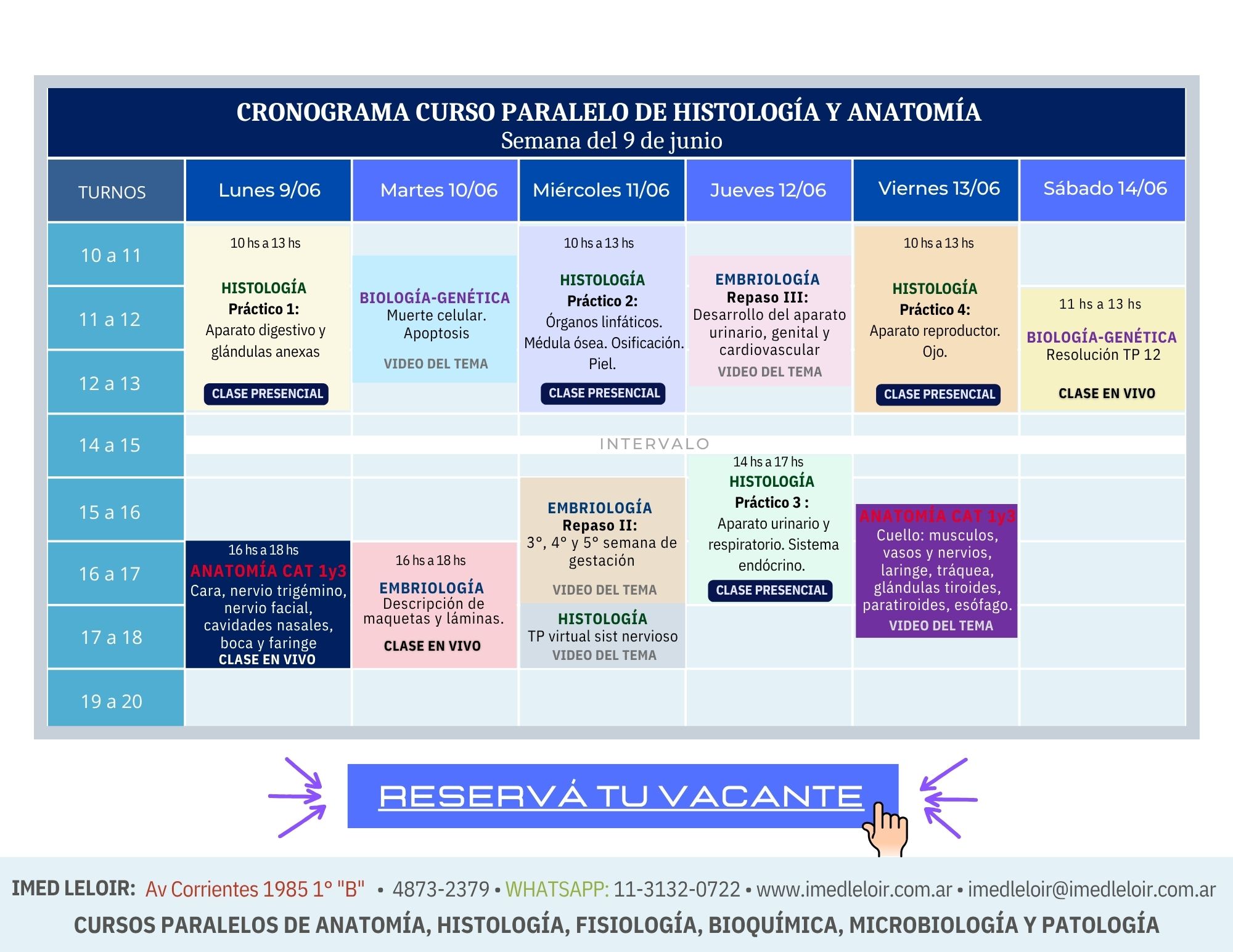 Cronograma 1° año - Con enlace