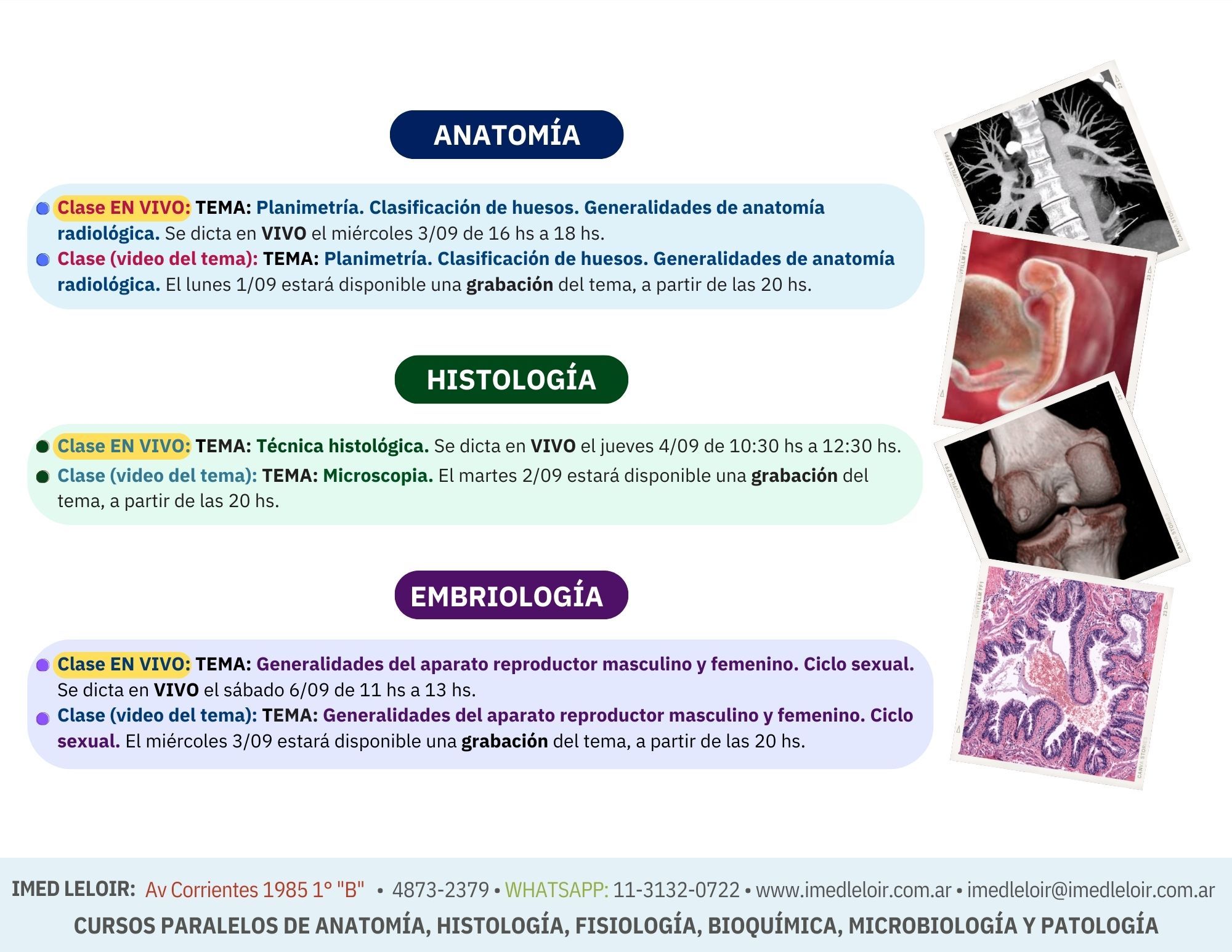 Preingreso Medicina - Página 3