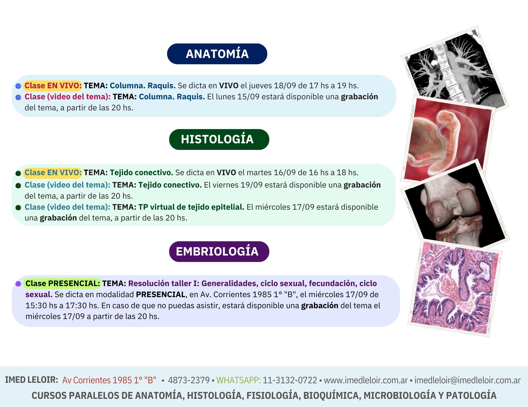 Preingreso Medicina - Página 7