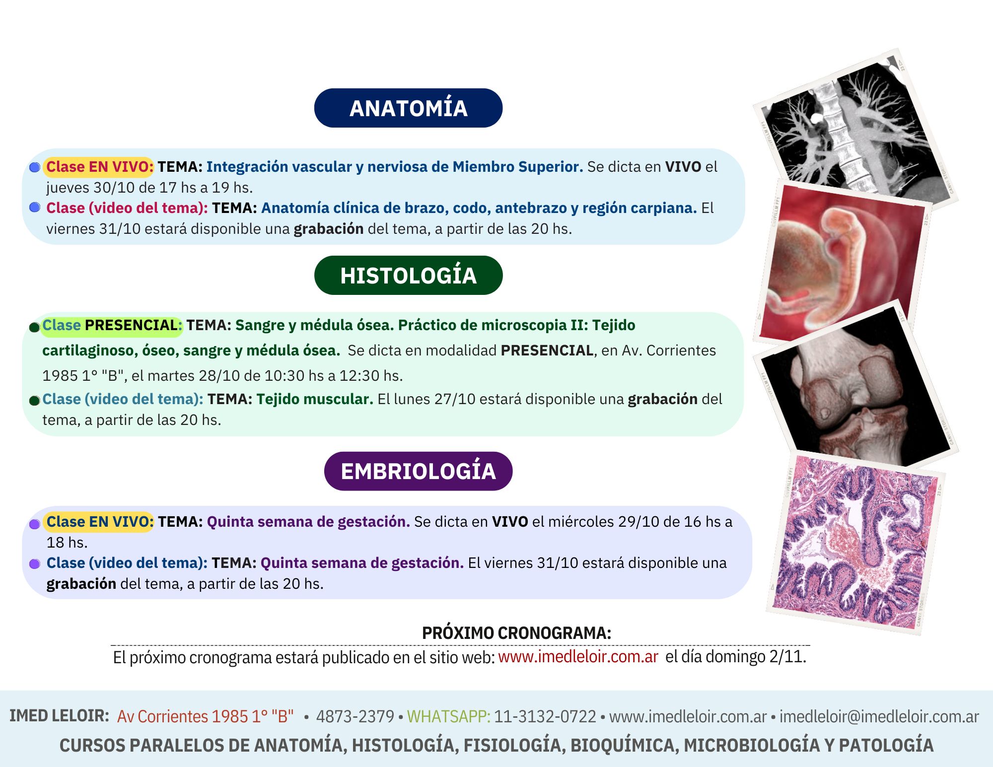 Cronograma Preingreso Medicina - Página 11