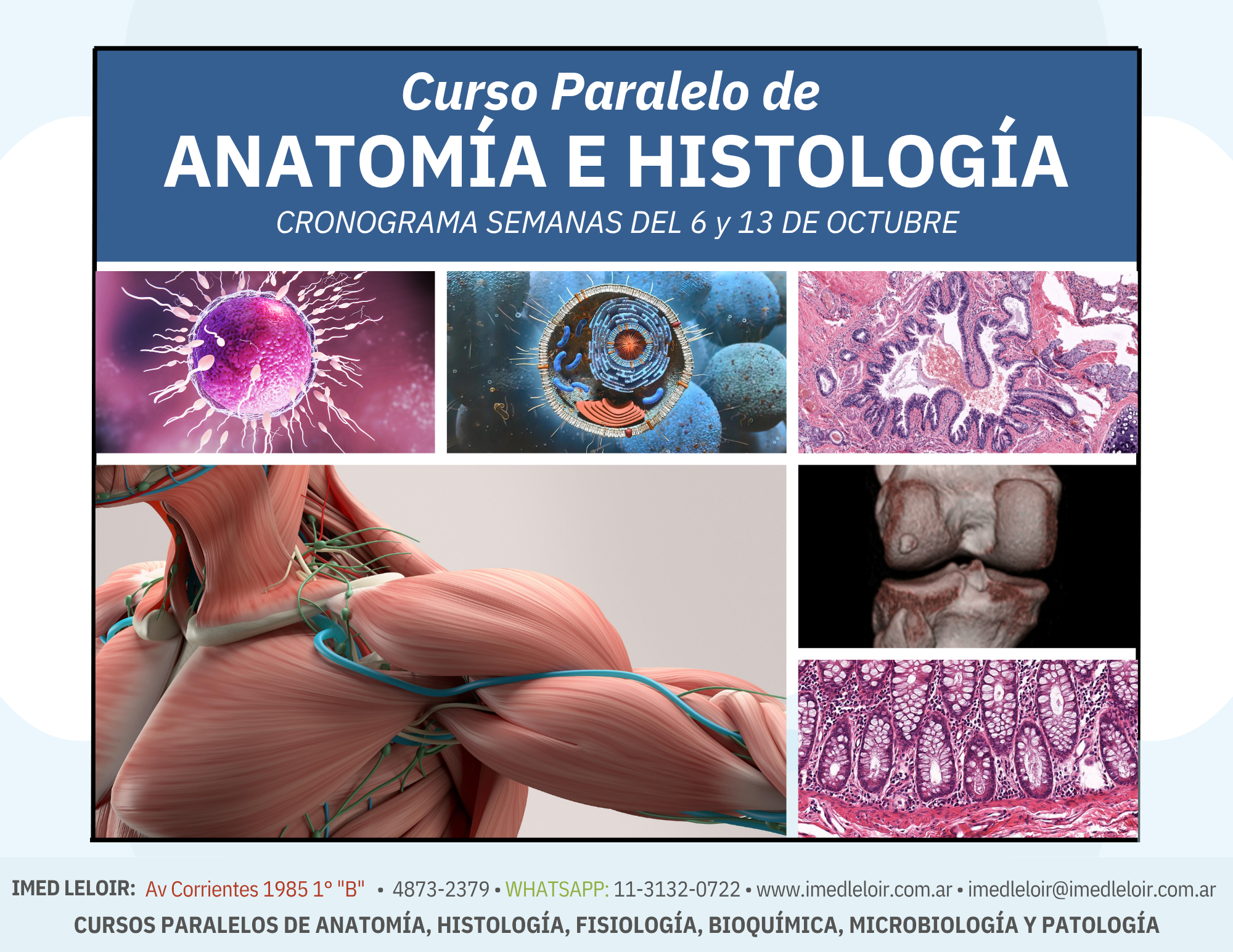 IMED Leloir – Curso paralelo Medicina UBA – Preparación para parcial integrador de Histología – Página 1