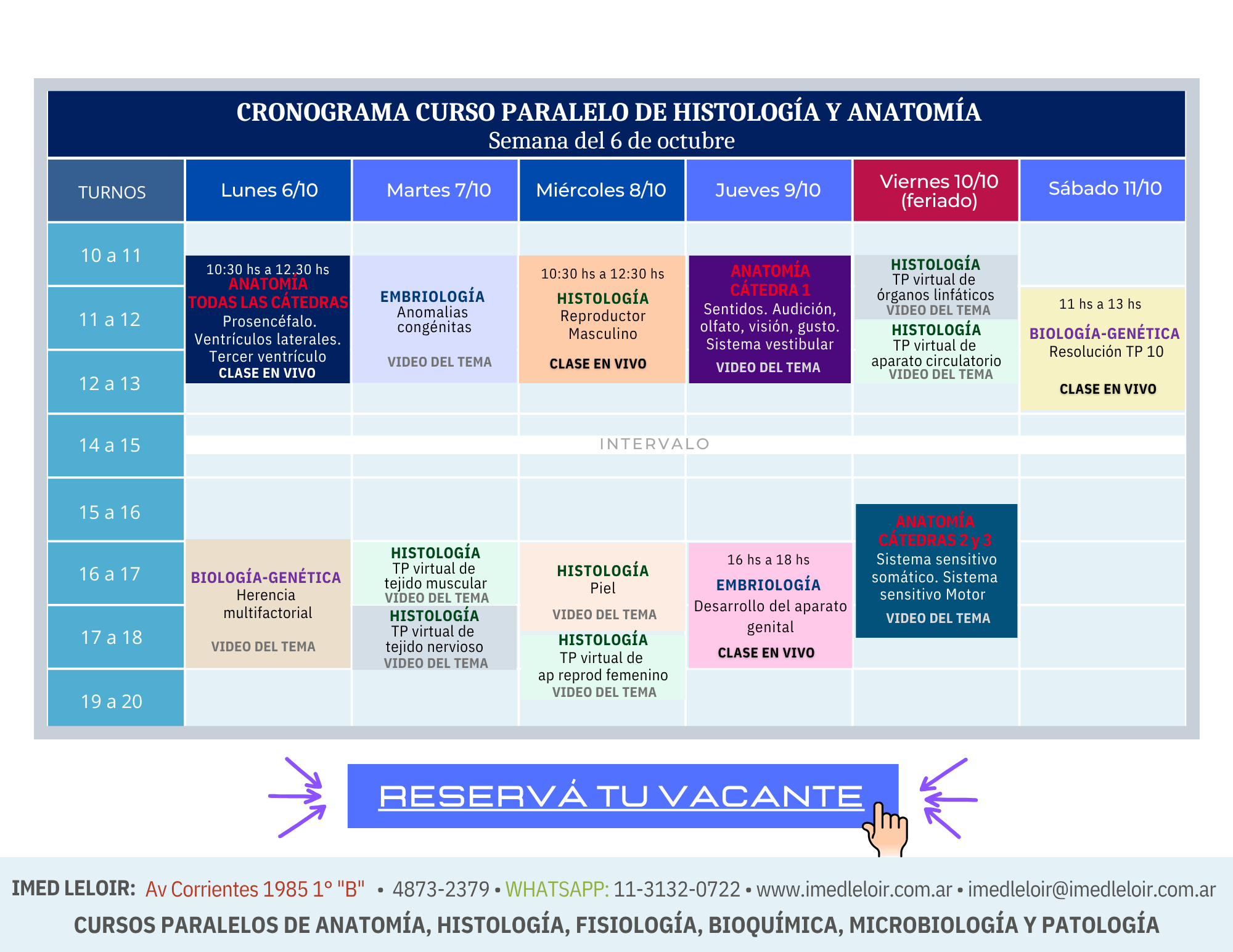 Curso paralelo Medicina UBA – IMED Leloir – Clases prácticas Histología – Página 2