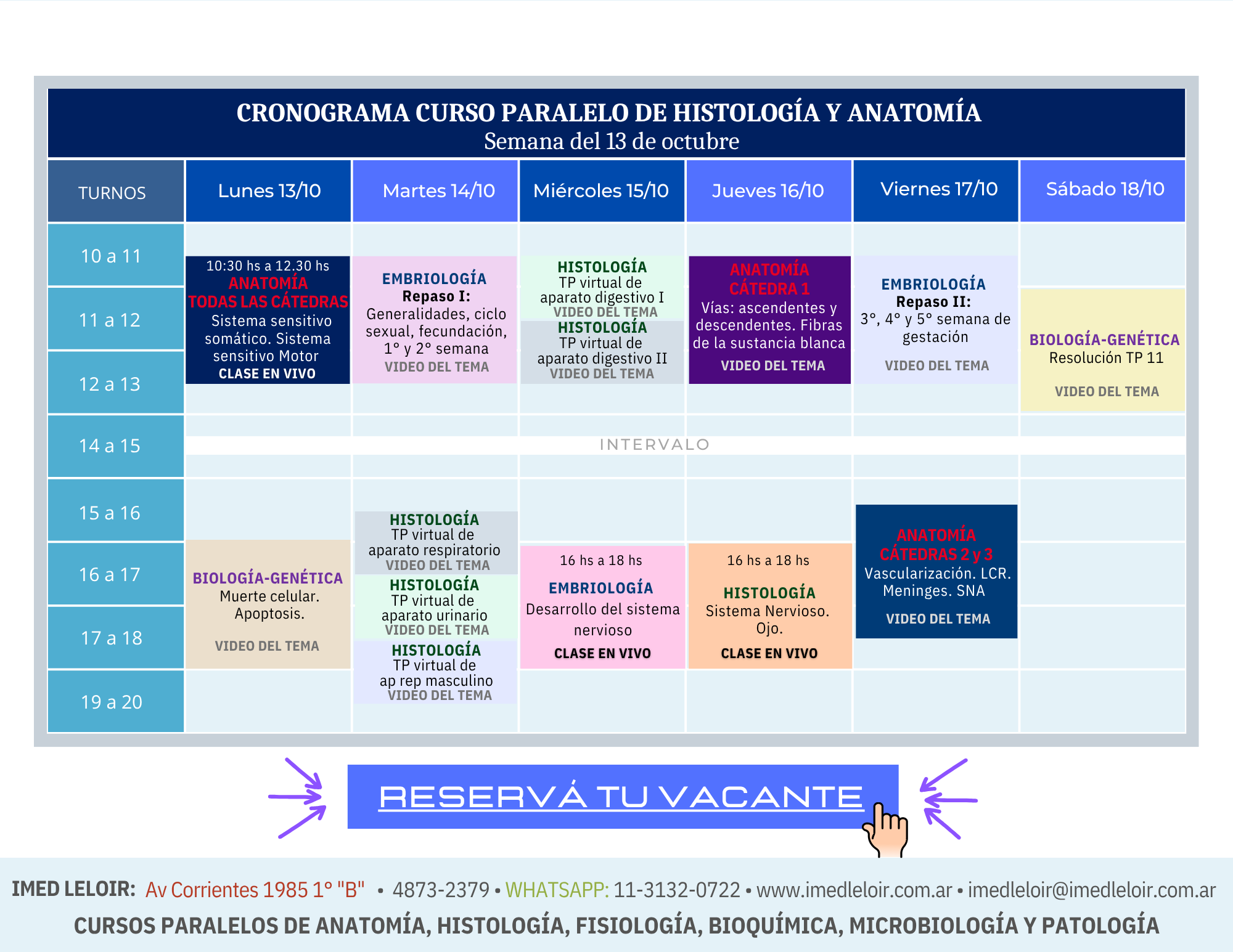 IMED Leloir – Curso paralelo Medicina UBA – Parcial integrador Histología y final de Anatomía – Página 4