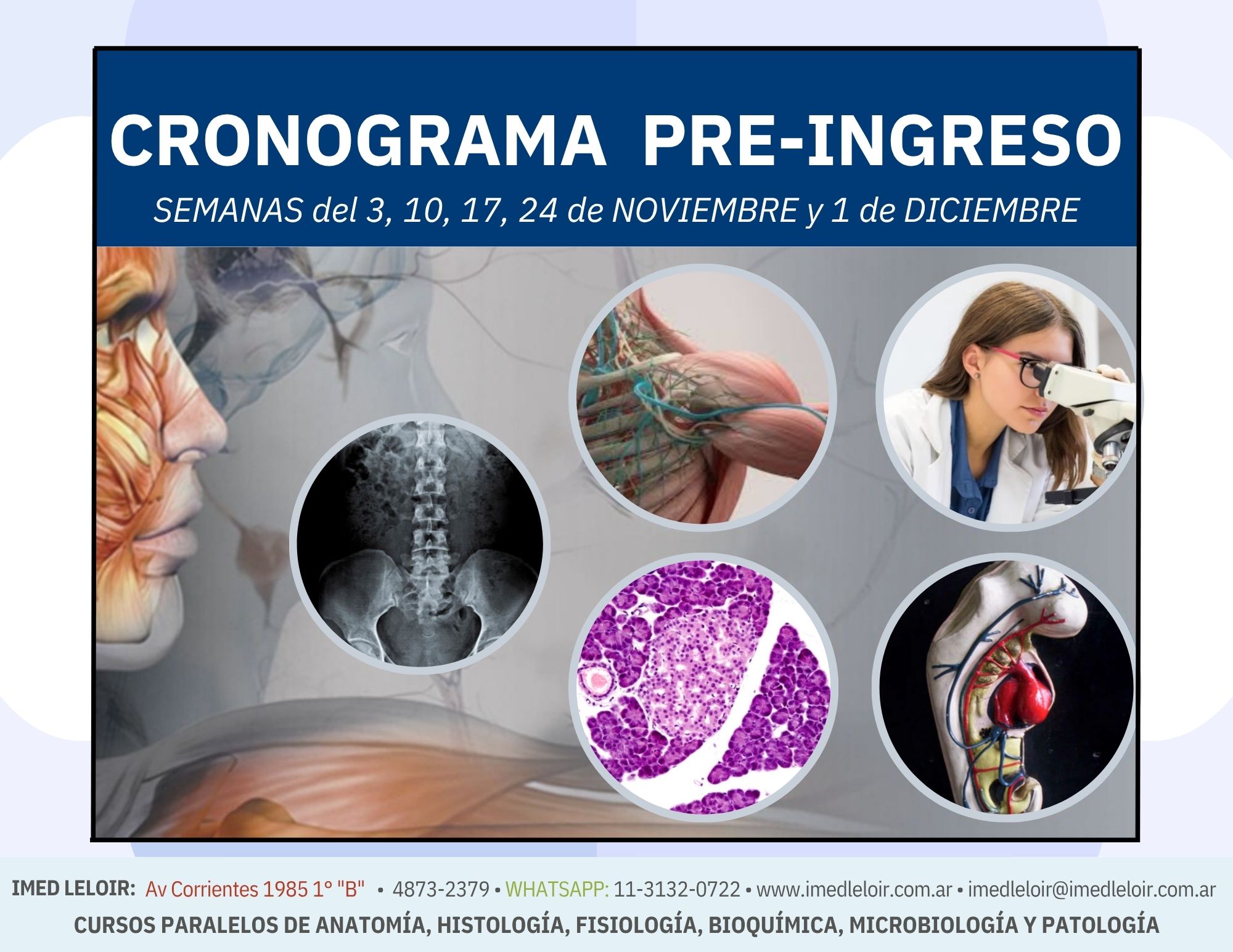 Cronograma Preingreso Medicina - Página 1
