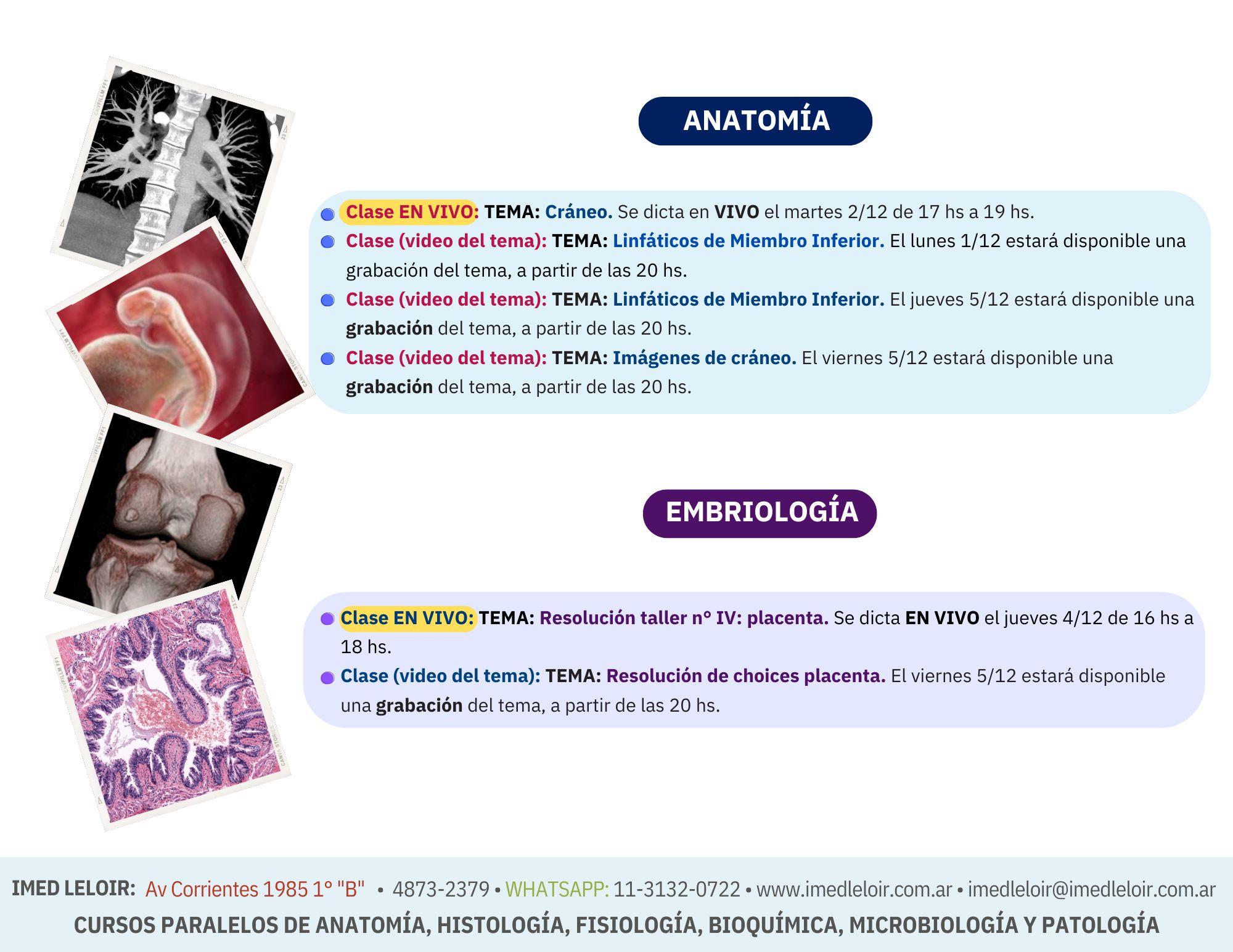 Cronograma Preingreso Medicina - Página 11