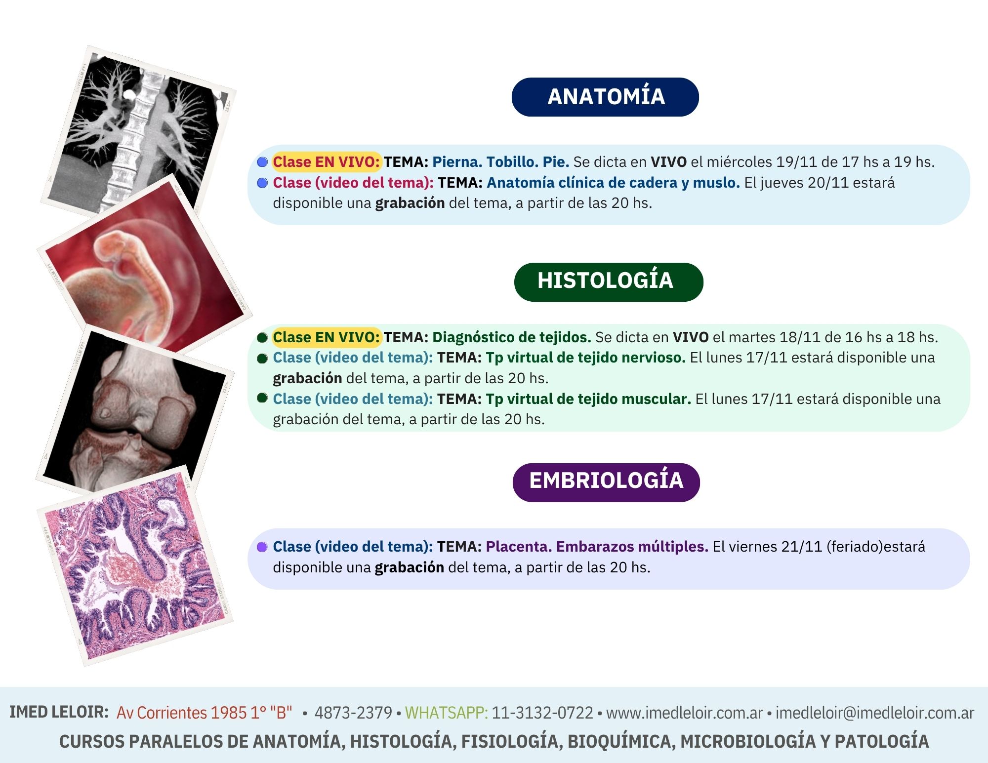Cronograma Preingreso Medicina - Página 7
