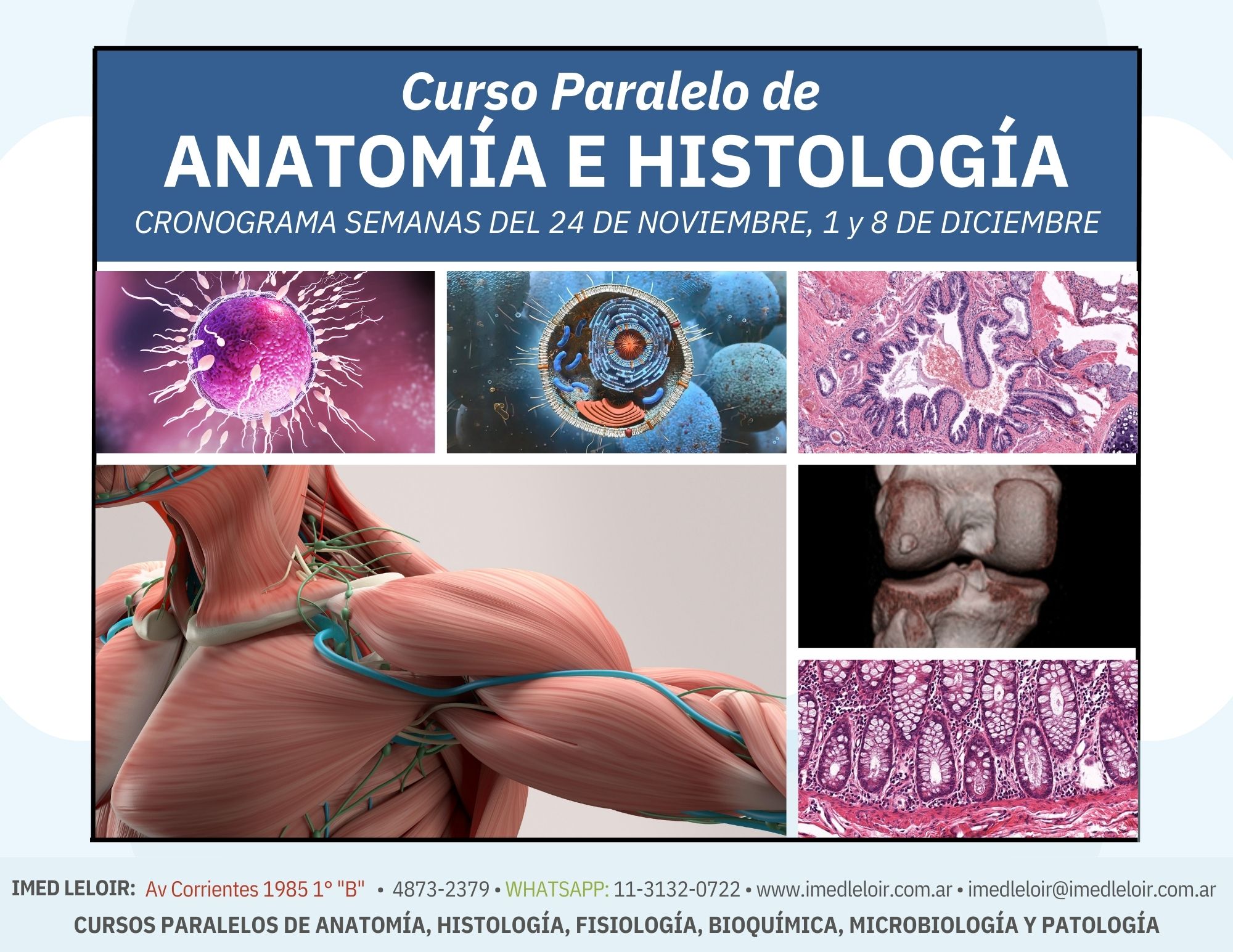 IMED Leloir – Curso paralelo Medicina UBA – Página 1