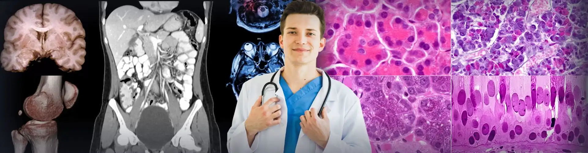 Curso medicina primer año UBA - paralelo de Anatomía, Histología y Embriología IMED Leloir