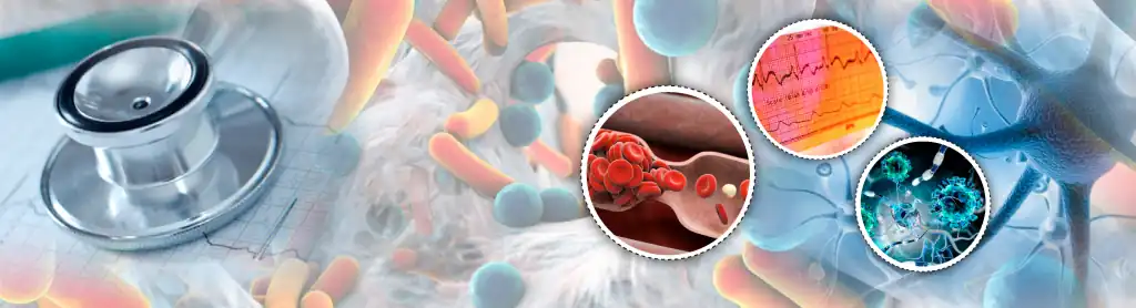 Curso de Verano de Patología — IMED Leloir