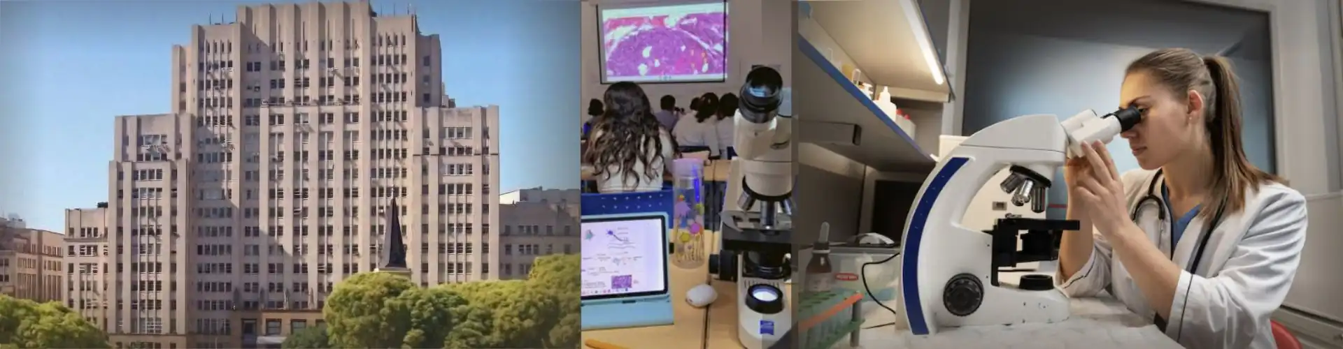 Preingreso Histologia 2026