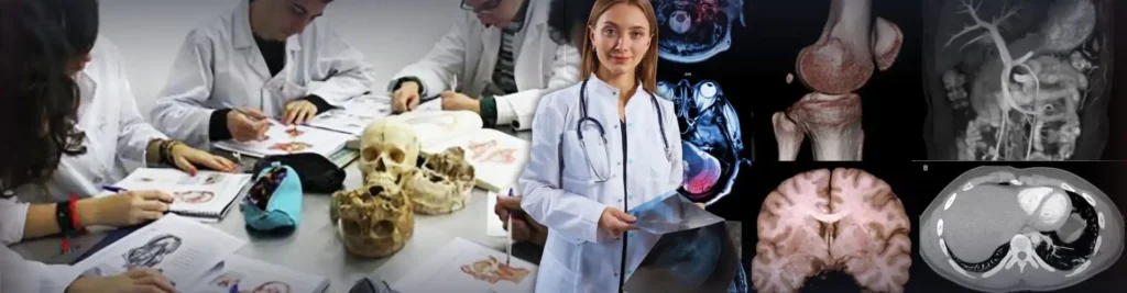 Curso de verano de anatomía