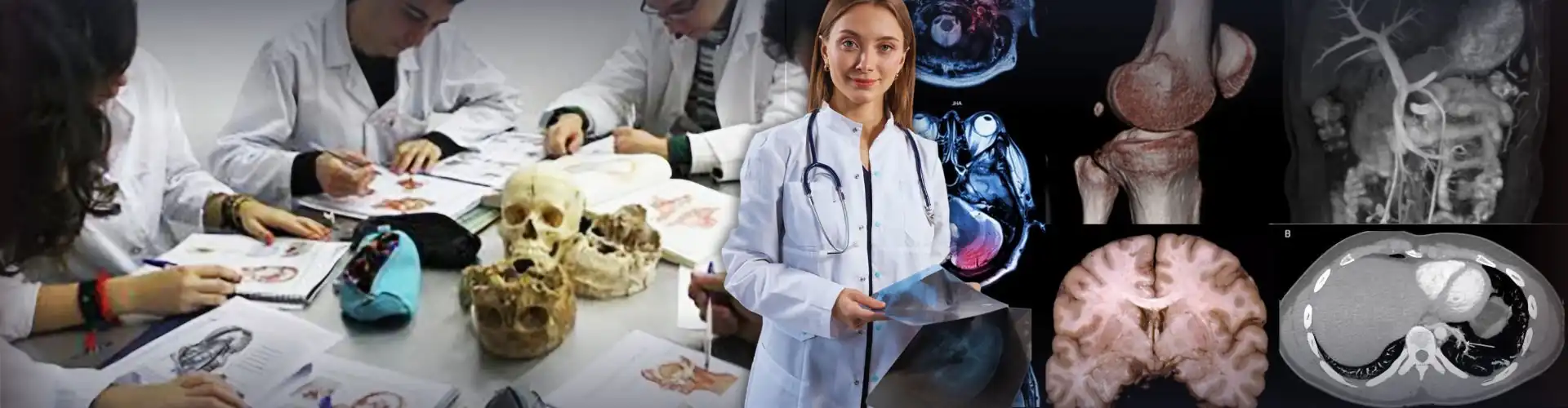 Curso de Anatomía UBA — IMED Leloir